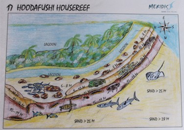 Hoodafushi Housereef